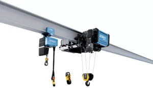 Read more about the article Hoists